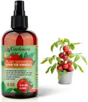 𝐁𝐄𝐒𝐓𝐒𝐄𝐋𝐋𝐄𝐑 Plant Superfoo