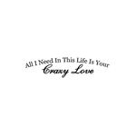 All I Need in This Life is Your Crazy Loves Store Home Wall Decor Mural Decals Serenity Prayer Religious Quotes Peel and Stick Home Decals for Teen Room Kids Room Family Mirrors Vinyl 28in