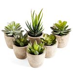 PRIMAISON Artificial Succulents Plants Potted Set-Decorative Fake Succulent Plant Faux Plastic Plant Indoor &Outdoor for House Office Desk Bathroom Kitchen DIY Decor Gift Set of 6