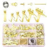 Picture Hooks Hanging Hooks kit,Picture Hooks Heavy Duty Frame Heavy Hanger with Nails. (Gold-250Pcs)