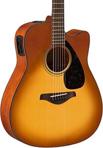 Yamaha FGX