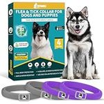 4 Pack Flea Collar for Dogs, Dog Fl