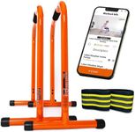Lebert Fitness Equalizer with Resistance Band - Calisthenics Equipment ✓ Dip Station ✓ Push Up Stand Bar ✓ Pull Up Dip Bar ✓ Bodyweight Equipment ✓ For Intensive Use