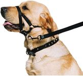 Ancol Weatherproof Nylon Black Training Halter Head Collar Animal Pet Training Accessory, Large