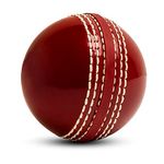 Cricket Balls for Training, Coaching, Practice & Excellent Bounce Skills Soft Foam Rubber Cricket Ball with Durable Traditional Seams Stitched for All Age Players (Red)