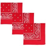 Raylarnia 3 Pack Bandana Multi-Purpose 100% Cotton Headbands for Women, Paisley Cowboy Bandanas (Red)