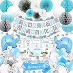 166 Piece Baby Shower Decorations f