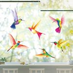 DECOWALL CDS2-9002 6 Large Beautiful Humming Birds Static Cling Window Stickers Reuseble for Prevent Glass Clings Flying Anti Collision Bird Strike Window Decals - Double Sided Print