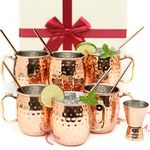 Stainless Steel Lined Moscow Mule Mugs