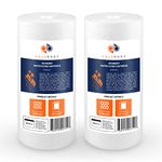 Aquaboon Whole House Sediment Water Filters Replacement Cartridges | 5 Micron Water Filter 10 inch x 4,5 inch | Well Water Filter Compatible with W15-PR, DGD-5005, GXWH35F, GXWH30C, WFHD13001B, 2 Pack