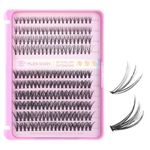 Mlen Diary Lash Clusters, 100 Pcs 10-16mm D Curl Individual Lashes, DIY Eyelash Extenisons Kit, Natural Look Wispy Clusters Lashes, Reusable False Eyelashes (3 IN1 Sandwich Girl)