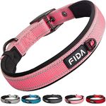 Fida Padded Dog Collar, Metal Belt Buckle Dog Collar with Double-Layer Webbing, Heavy Duty Dog Collar for Medium Dogs, Pink