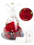 Otuo Preserved Flower Rose Gift in Glass of Angel,【Large Size】 Eternal Flower Rose Present for Mothers Day, Angel Rose Gifts for Her, Grandma, Wife, Girlfriend (Red)