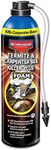 BioAdvanced Termite and Carpenter Bee Killer Plus, Foam, 18 oz