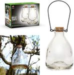 Set of 2 WASP TRAP Catcher Glass Bo