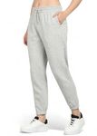 Alan Jones Clothing Fleece Jogger Track Pant for Women Winterwear (Melange_L)