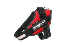 Julius-K9, 16IDC-R-0, IDC Powerharness, dog harness, Size: 0, Red