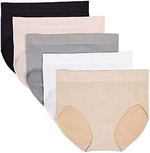 Carole Hochman Ladies' Seamless Brief, 5-Pack (Small)