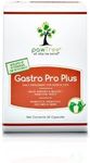 Gastro Pro Plus 60 Count