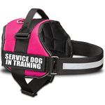 Service Dog in Training Vest with Hook and Loop Straps and Handle - Harnesses in Sizes from XXS to XXL - Service Dog Vest Harness Features Reflective Patch and Comfortable Mesh Design (Pink, XL)