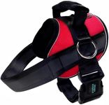 Joyride Harness 2.0 - The Original 