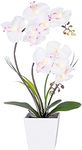 HOMESEASONS Homeseaons Orchid Lamp-LED Lighted Orchid Arrangements,Pre Lit Artificial Orchid,Light Up Flower Lights, Faux Orchid Phalaenopsis Arrangement (White)