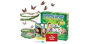 Insect Lore Butterfly Garden with Prepaid Caterpillar Voucher