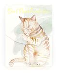 Punch Studio Purrfection Pocket Notepad (46714)