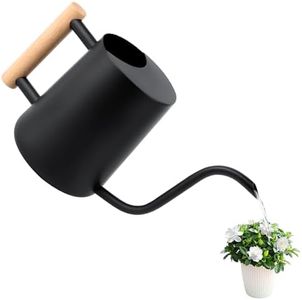 Regadera de 1 l, regadera para plantas de interior pequeña, regadera con caño largo y cómodo mango de madera, acero inoxidable negro para plantas en maceta, suculentas, regadera de metal para interior