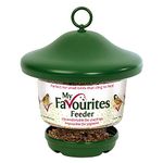 Hanging Lantern Garden Bird Feeder - My Favourites - Easy fill, rainproof roof, green