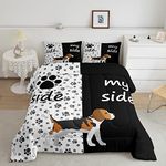 Down Comforter For Dogs