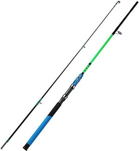 Sougayilang Surf Glass Spinning Rods 2-Pieces Saltwater Offshore Heavy Trolling Boat Fishing Rod Portable Travel Fishing Rod(green-5ft)