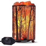 Himalayan Salt Lamp, Salt Rock Lamp Natural Night Light in Forest Design Metal Basket with Dimmer Switch (4.1 x 6.5 4.4-5lbs), 25Watt Bulbs & ETL Cord 1 Pack