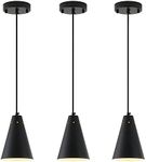 Dijiahua Black Pendant Lights 3 Pac