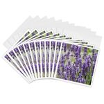 3dRose Field of Purple Flowers - Greeting Cards, 6 x 6 inches, set of 12 (gc_6269_2)