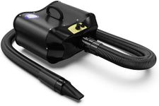 Flying Pig Double Motor High Perfor