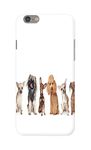 iPhone 6 Case Friends For Dogs