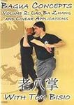 Bagua Concepts Volume 2: Lao Ba Zha