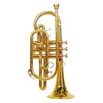 SOUND SAGA® Special Design Bb Cornet Trumpet With All Accessories Including Mouthpiece & Case. (GOLD)