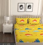 DECOREZA Cotton Feel All Around Elastic Premium Fitted Bedsheets, Elastic Fitted Bedsheets King Size, Bedsheet for Double Bed with 2 Pillow Covers, Size - 72 x 78 x 8 Inches, Whale Shark