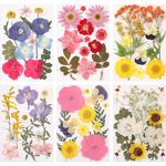 eBoot 72 Pcs Dried Pressed Flowers for Resin Molds Real Pressed Flowers Dry Leaves Bulk Natural Herbs Kit for Scrapbooking DIY Art Crafts Jewelry Molds Candle Soap Making Nails Decor(Fresh Style)