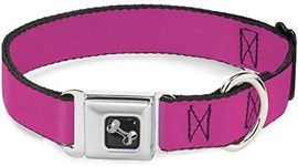 Buckle-Down Dog Collar Seatbelt Buc