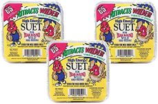 (3 Pack) C&S High Energy Suet for Wild Birds