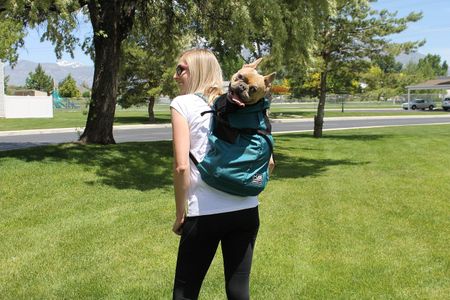 K9 Sport Sack Medium Dog Backpack – Greenry, Pet Carrier