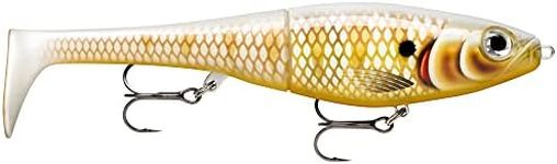 Rapala Unisex Adult X-Rap Peto Fishing Lure Artificial Bait with Soft Fishtail Freshwater Spinning Bait Running Depth 0.5-1m Fishing Lure 14 cm Made in Estonia Pearl Ghost Gold 14 cm / 39 g