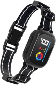 Collier An