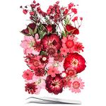 15 Types 37pcs Red Dried Pressed Flowers for Resin Molds,YouthBro Real Natural Pressed Flowers for DIY Art Crafts,Candle Making, Nails Décor,Soap Making, Phone Case