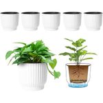 T4U 6 Inch Plastic Self Watering Planter, Long Term Water Storage Plant Pot/Macaron-Colored Flower Pots Outdoor Indoor Yard Garden Home Decoration, Large Size - Set of 6,White