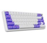 Kreo Hive 65 RGB Anti-ghosting Gaming Keyboard | Wired Mechanical Keyboard with RGB Backlight | 5 Pin Hot-Swap | Detachable USB C Cable (White)