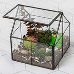 Ferrisland Glass Plant Terrarium Container Wardian Case Indoor Small Succulent Terrarium Planter w/Door for Tabletop Decor DIY - 5.0"x4.3"x4.3"